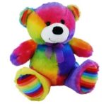 3KG Rainbow bear