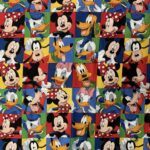 Disney Weighted Blanket